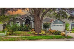 1725 RIVER WATCH BOULEVARD, TARPON SPRINGS, FL 34689 Sold 10/10/25