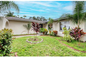 1007 VINEYARD COURT, DUNEDIN, FL 34698 - MLS#MFRTB8429525