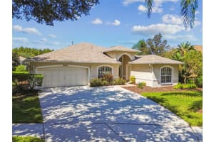 19417 MORDEN BLUSH DRIVE, LUTZ, FL 33558 - MLS#MFRTB8429565