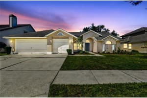 9210 Dayflower Dr, TAMPA