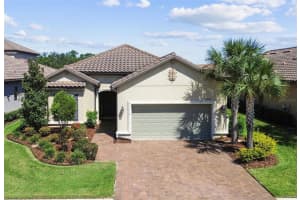 8548 Grand Alberato Rd, TAMPA