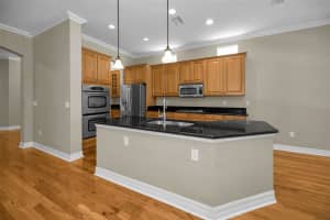 11525 MERIDIAN POINT DRIVE, TAMPA, FL 33626 - MLS#MFRTB8429722