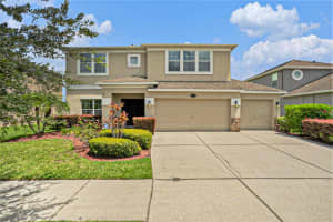 10737 BREAKING ROCKS DRIVE, TAMPA, FL 33647 - MLS#MFRTB8429733