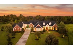10705 Crane Hill Ct, THONOTOSASSA