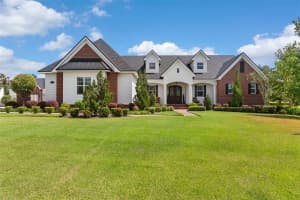 10705 CRANE HILL CT, THONOTOSASSA, FL 33592 - MLS#MFRTB8429738