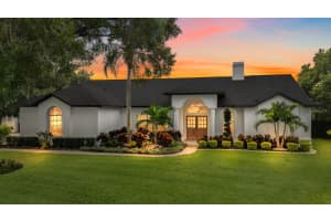 3032 COLONIAL RIDGE DRIVE, BRANDON, FL 33511 - MLS#MFRTB8429742