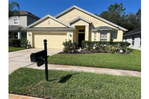 3207 SUNWATCH DRIVE, WESLEY CHAPEL, FL 33544 - MLS#MFRTB8429743