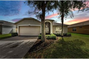 13561 FLADGATE MARK DRIVE, RIVERVIEW, FL 33579 - MLS#MFRTB8429762