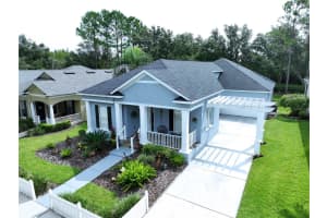 19217 Sea Mist Ln, LUTZ
