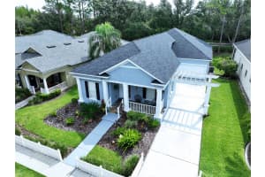19217 SEA MIST LANE, LUTZ, FL 33558 - MLS#MFRTB8429773