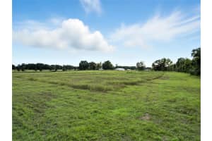 0 POWERLINE ROAD, DADE CITY, FL 33523 - MLS#MFRTB8429781