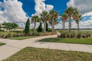 1147 ANCHOR BEND DRIVE, RUSKIN, FL 33570 - MLS#MFRTB8429799