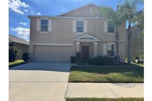 10021 Crested Fringe Dr, RIVERVIEW