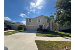 10021 CRESTED FRINGE DRIVE, RIVERVIEW, FL 33578 - MLS#MFRTB8429806