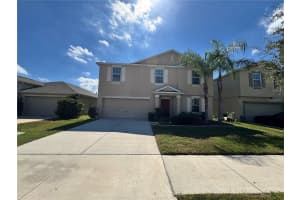10021 CRESTED FRINGE DRIVE, RIVERVIEW, FL 33578 - MLS#MFRTB8429806