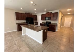 10021 CRESTED FRINGE DRIVE, RIVERVIEW, FL 33578 - MLS#MFRTB8429806