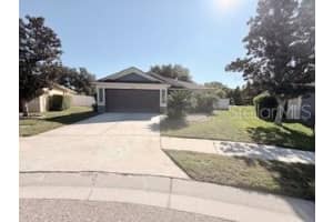 11424 COCONUT ISLAND DRIVE, RIVERVIEW, FL 33569 - MLS#MFRTB8429808