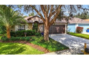 1311 SALT CLAY COURT, WESLEY CHAPEL, FL 33544 - MLS#MFRTB8429809
