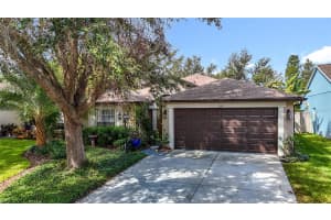 1311 SALT CLAY COURT, WESLEY CHAPEL, FL 33544 - MLS#MFRTB8429809