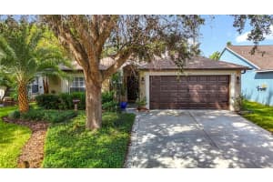 1311 SALT CLAY COURT, WESLEY CHAPEL, FL 33544 - MLS#MFRTB8429809