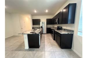 32817 PEZ LANDING LANE, WESLEY CHAPEL, FL 33543 - MLS#MFRTB8429811