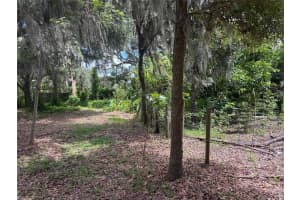 15628 CARLTON LAKE ROAD, WIMAUMA, FL 33598 - MLS#MFRTB8429822