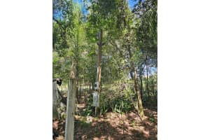 15628 CARLTON LAKE ROAD, WIMAUMA, FL 33598 - MLS#MFRTB8429822
