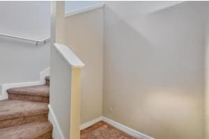 3300 HAVILAND COURT, PALM HARBOR, FL 34684 - MLS#MFRTB8429828