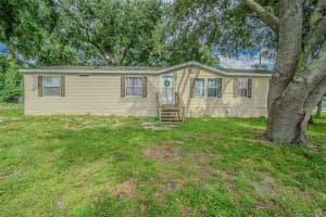 11707 BRADLEY ROAD, THONOTOSASSA, FL 33592 - MLS#MFRTB8429835