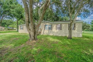 11707 BRADLEY ROAD, THONOTOSASSA, FL 33592 - MLS#MFRTB8429835