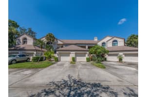 3636 OAK HAVEN DRIVE, PALM HARBOR, FL 34684 - MLS#MFRTB8429836