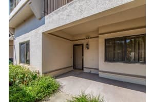 3636 OAK HAVEN DRIVE, PALM HARBOR, FL 34684 - MLS#MFRTB8429836