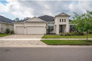 4206 Tour Trce, LAND O LAKES