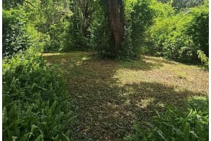 1915 MULBERRY DRIVE, TAMPA, FL 33604 - MLS#MFRTB8429867