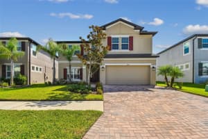 11127 SUNDRIFT DRIVE, TAMPA, FL 33647 - MLS#MFRTB8429876