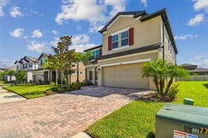 11127 SUNDRIFT DRIVE, TAMPA, FL 33647 - MLS#MFRTB8429876