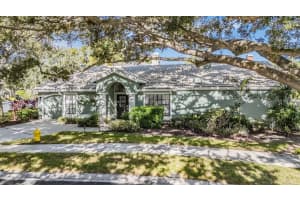 407 Georgetown Pl, SAFETY HARBOR