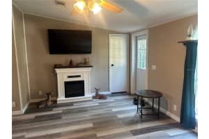 3616 NICHOLS ROAD, LITHIA, FL 33547 - MLS#MFRTB8429883