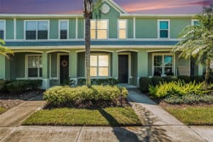 11676 Declaration Dr, TAMPA