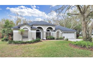 17307 OAK LEDGE DRIVE, LUTZ, FL 33549 - MLS#MFRTB8429933