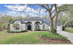 17307 OAK LEDGE DRIVE, LUTZ, FL 33549 - MLS#MFRTB8429933