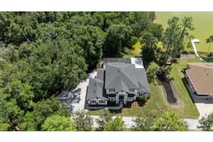 6814 MAGNOLIA POINT DRIVE, LAND O LAKES, FL 34637 - MLS#MFRTB8429944