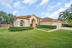 12302 SEABROOK DRIVE, TAMPA, FL 33626 - MLS#MFRTB8429947