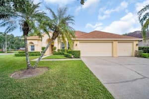 12302 SEABROOK DRIVE, TAMPA, FL 33626 - MLS#MFRTB8429947