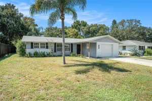 10137 OLEANDER DRIVE, PORT RICHEY, FL 34668 - MLS#MFRTB8429953