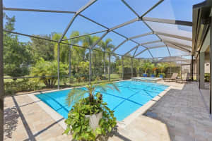842 FOREST GLEN COURT, PALM HARBOR, FL 34683 - MLS#MFRTB8429963