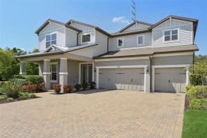 842 FOREST GLEN COURT, PALM HARBOR, FL 34683 - MLS#MFRTB8429963