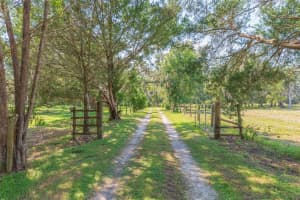 16225 BELLAMY BROTHERS BOULEVARD, DADE CITY, FL 33525 Sold 11/19/25