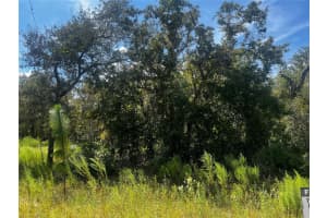 0 CRIDER ROAD, WEEKI WACHEE, FL 34614 - MLS#MFRTB8429974