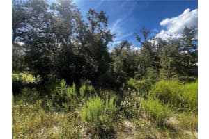 0 CRIDER ROAD, WEEKI WACHEE, FL 34614 - MLS#MFRTB8429974